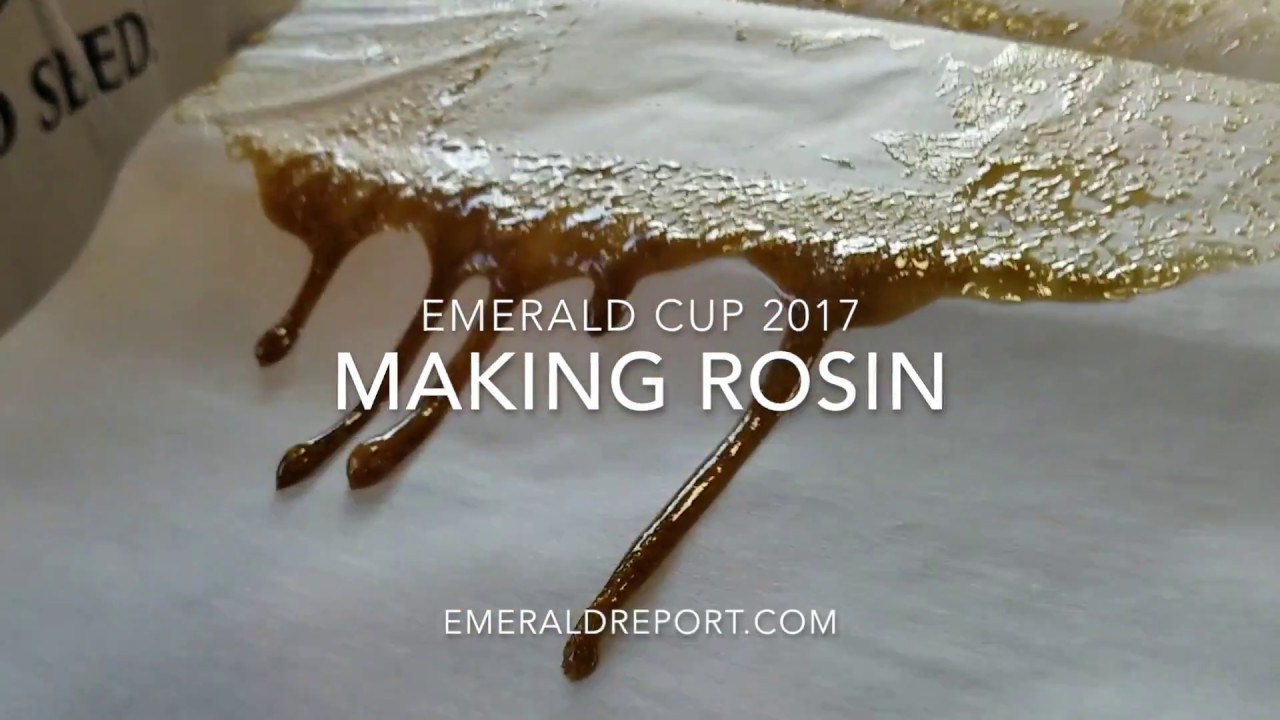 Rosin Making at the Emerald Cup 2017