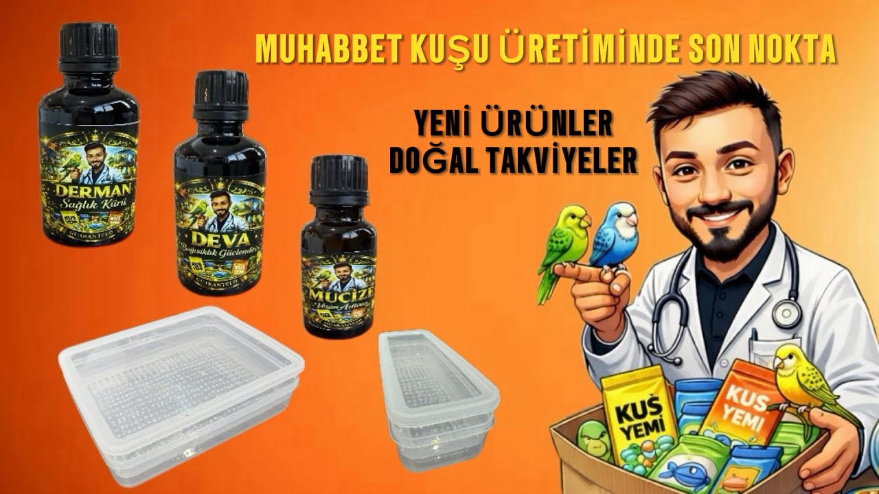 Muhabbet kuşu üretiminde ucuz, yeni ve doğal yeni ürünler sizlerle #budgerigar #muhabbetkuşu #birds 
