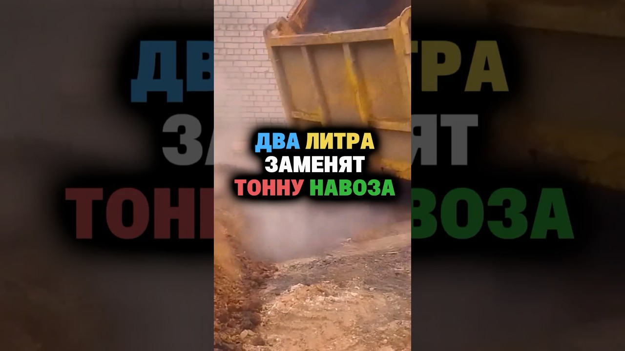 Это заменит тонну навоза #навоз #удобрение  #подкормки  #урожай  #огород  #почва #сад #дача