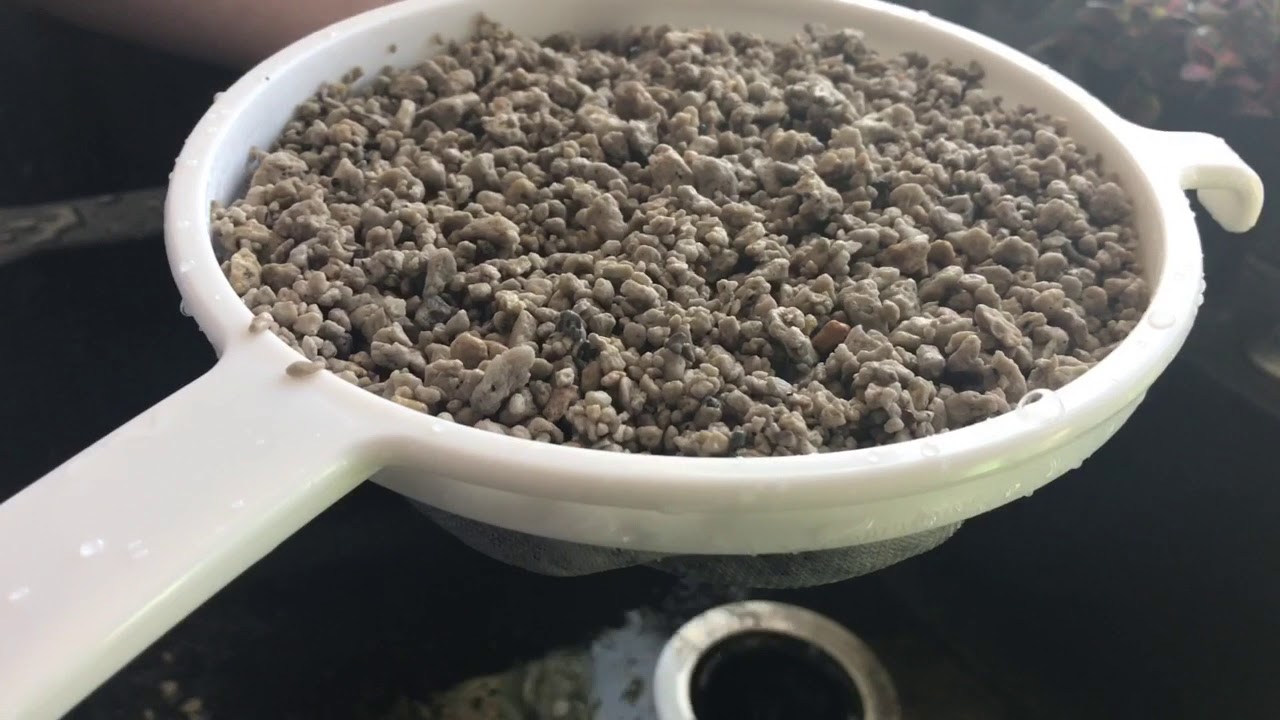 How To Sterilize Pumice For Potting Medium