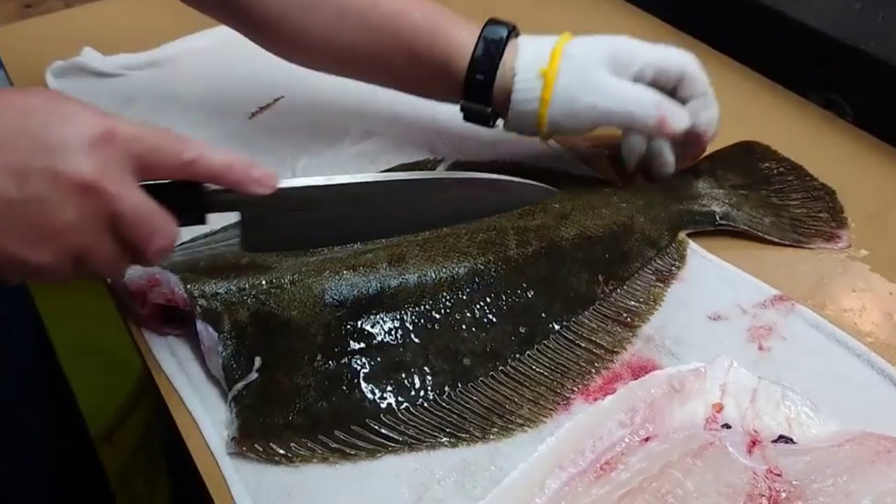 Watch Amazing Fish Filleting Compilation Skills