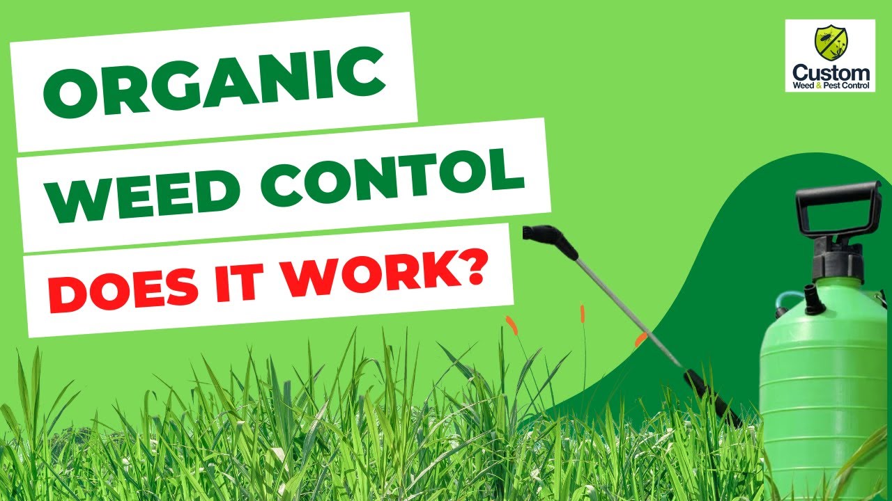 Organic Weed Control - Does It Work?
