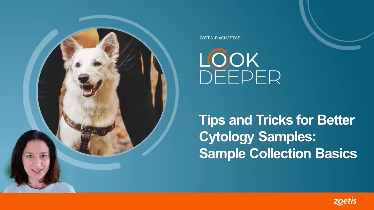 Tipps und Tricks f&uuml;r bessere Zytologie-Proben - Grundlagen der Probenentnahme (EN) #2 von 6