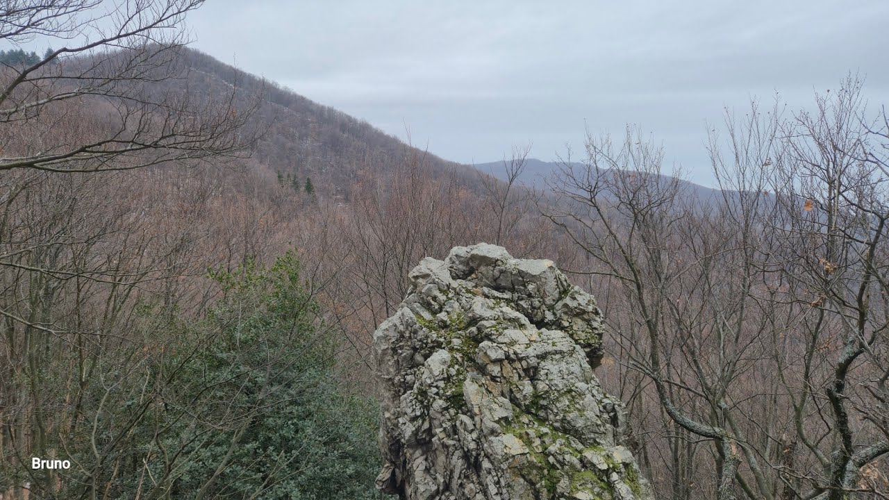 Krndijska Kvržica