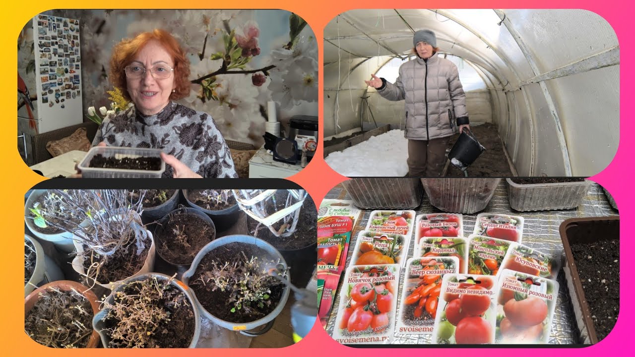 Достала цветы с погреба.Посеяла  томаты🍅 Жизнь в деревне.🏡