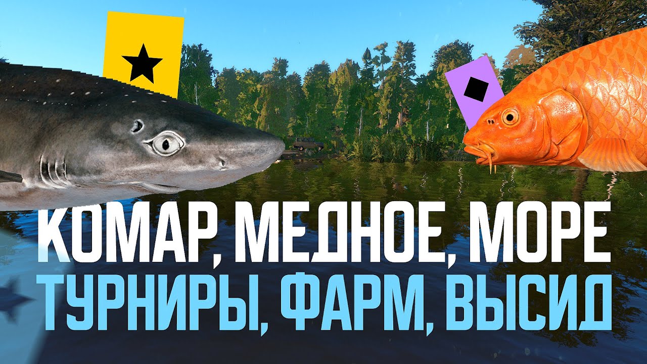 Форумные турниры и высид Карпа Кои Огон ● Русская рыбалка 4 ● Перчик РР4
