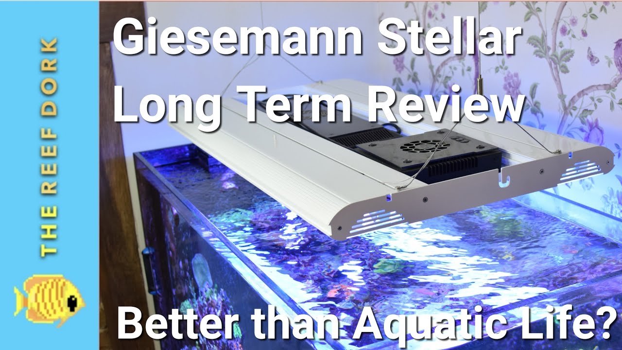 Giesemann Stellar Long-Term Review & Comparison With Aquatic Life T5/LED Hybrid