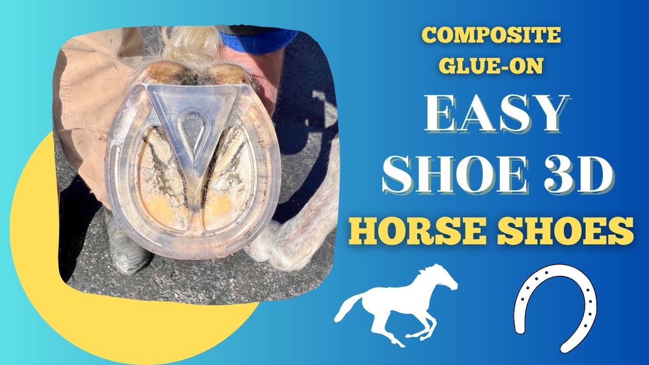 Glue-On Horse Shoes