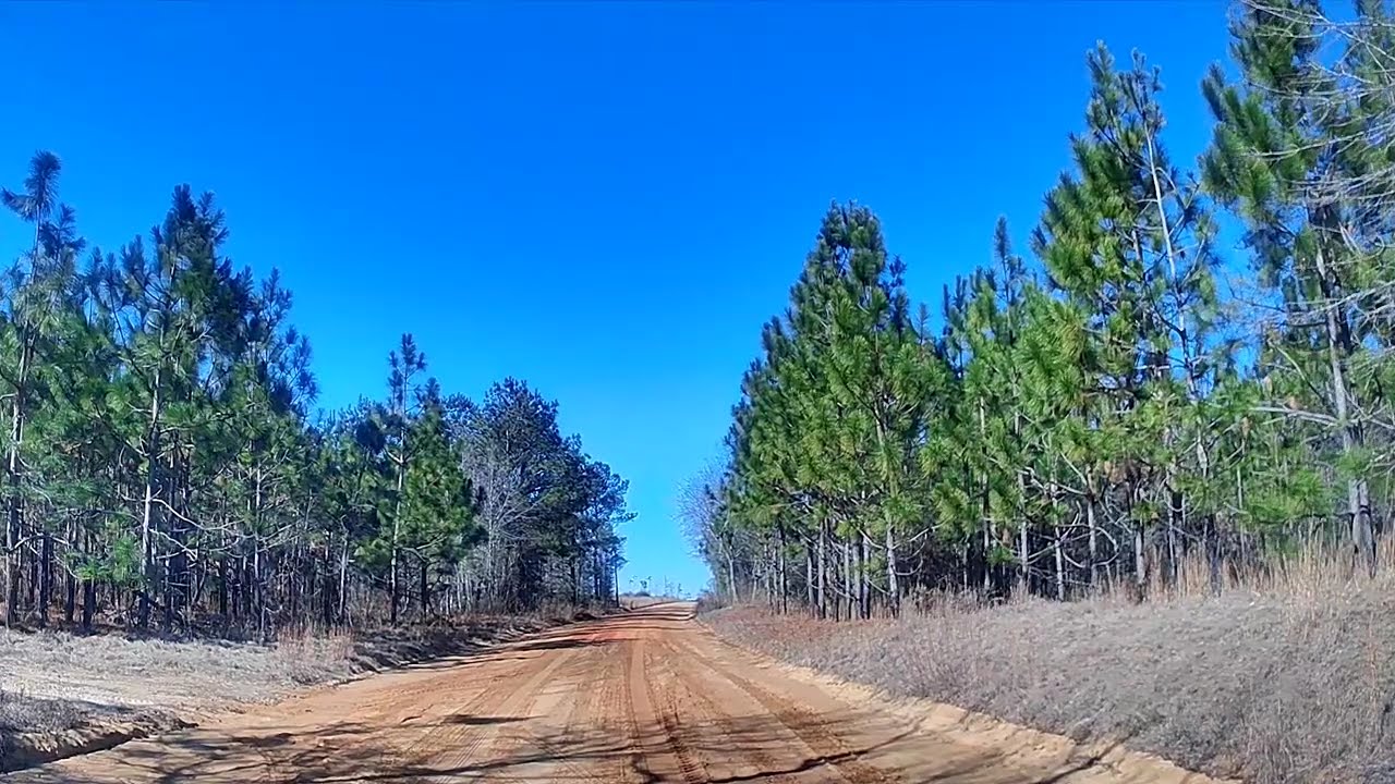 Tribute Drive for Auntie Annie | Alexander Community, Georgia 🌾🤍