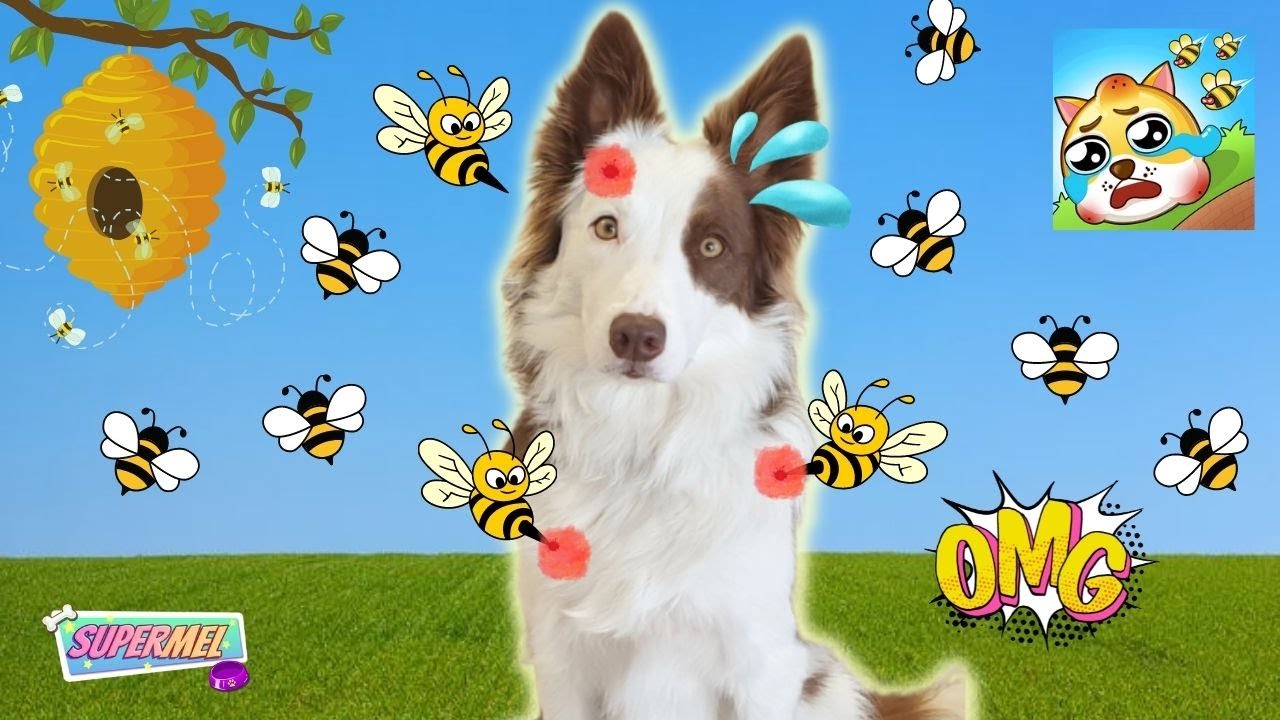 SALVAMOS al PERRO de las ABEJAS / Mel Gamer / SaveThe dog