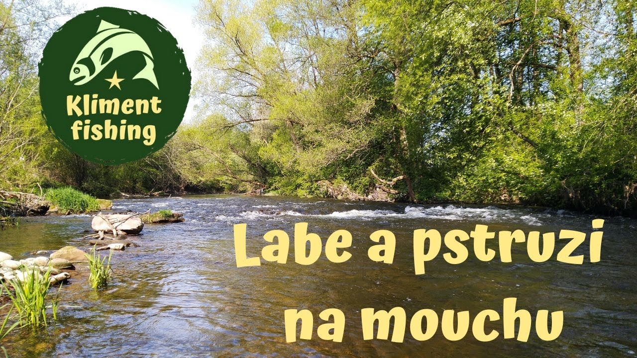 Lov pstruhů přívlačí a muškařením na Labi