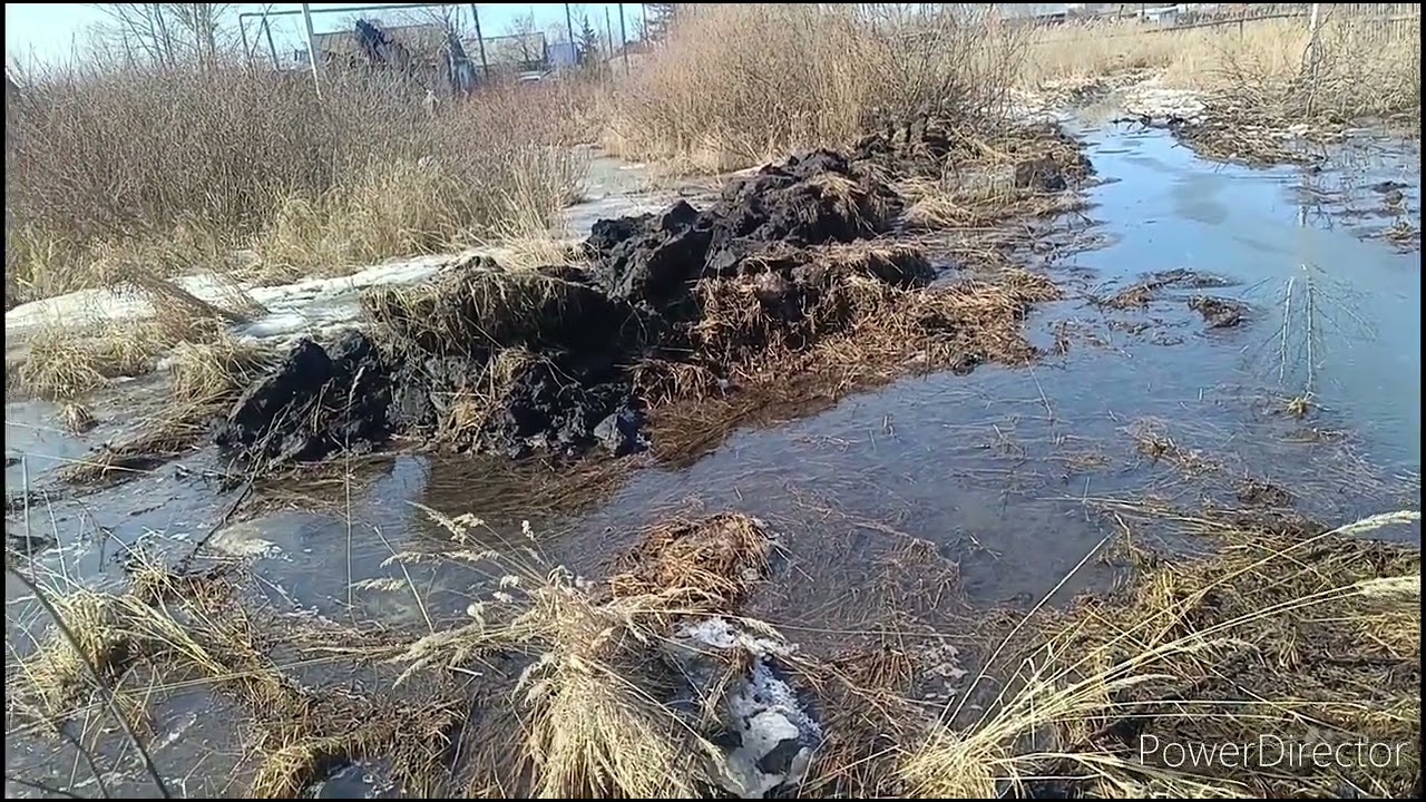 Дождались!!! Наконец-то!!!