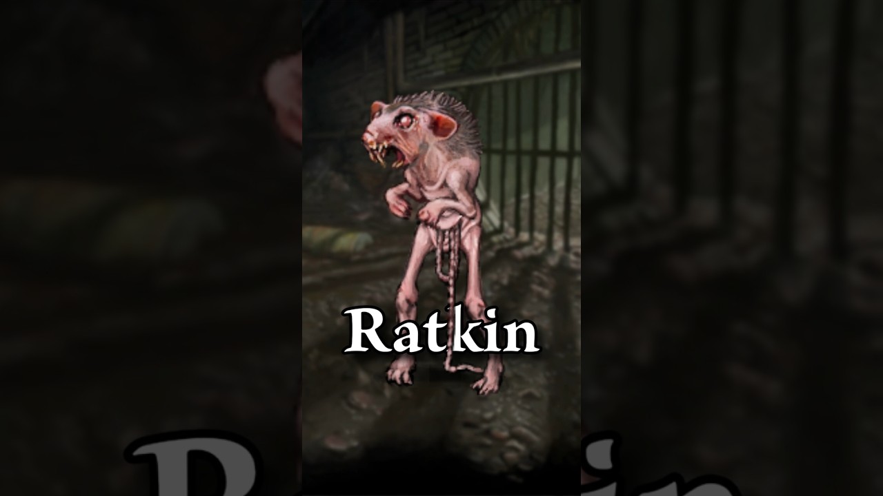 Habitan las Alcantarillas | Ratkin