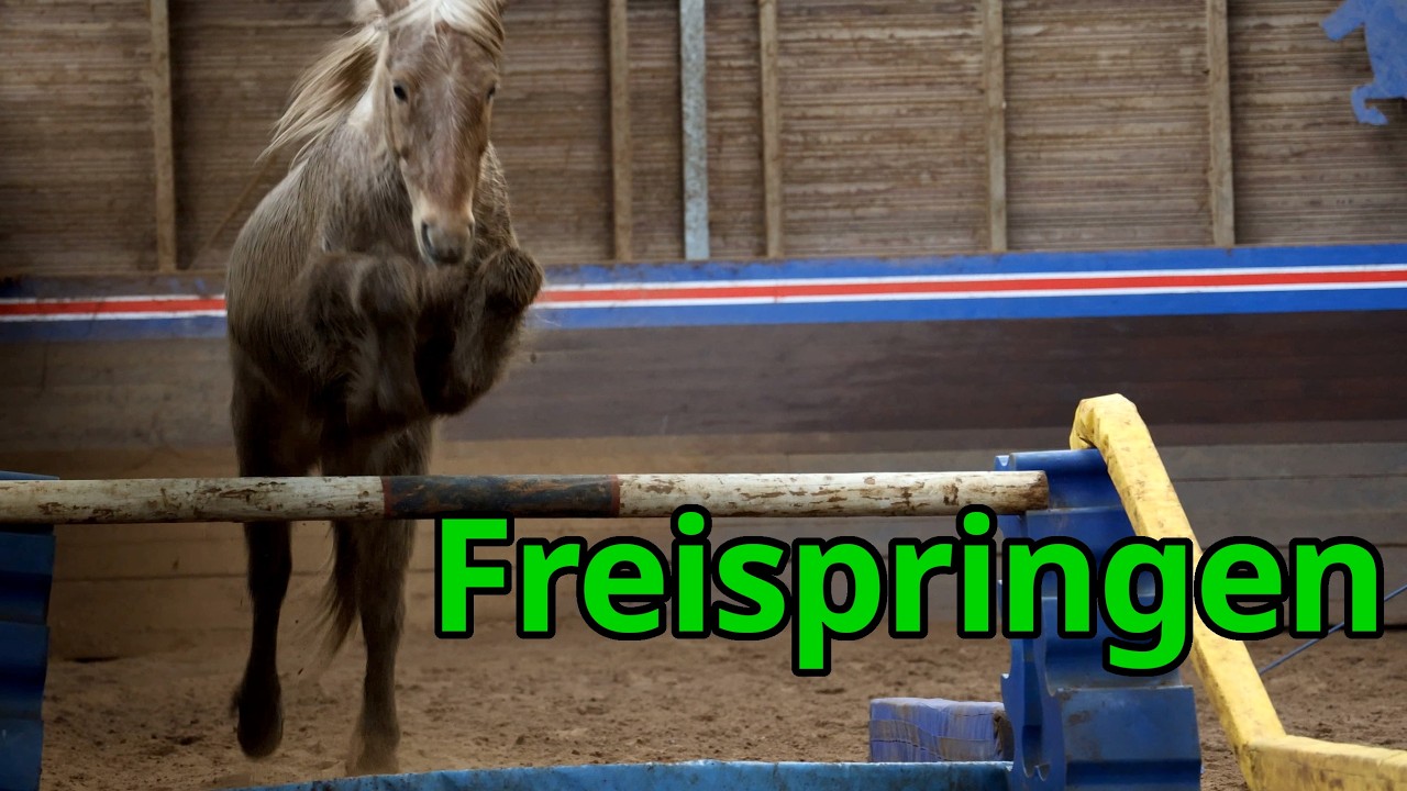 Wie viel riskieren wir? Júní spring alleine