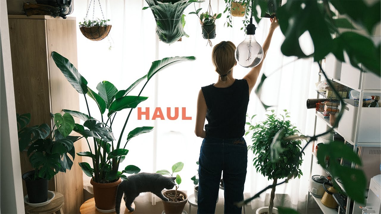 【HAUL】ゴールデンウィークに買った購入品紹介🌱