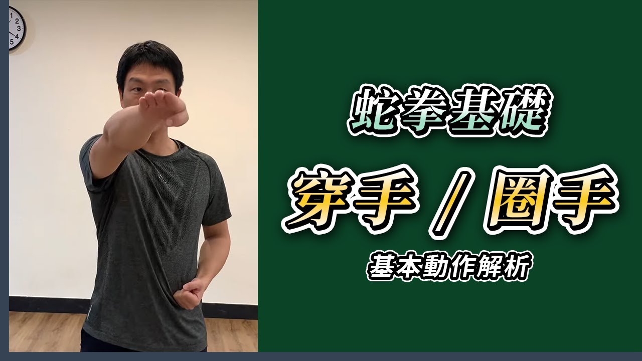蛇拳基礎 穿手/圈手動作解析