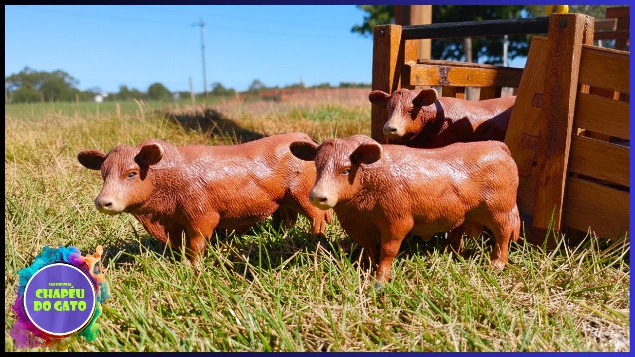 DIA DE VACINAR OS RED ANGUS NO BRETE DA FAZENDA DE BRINQUEDO!