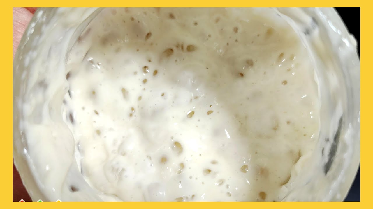 Levadura casera o levadura madre (1 ingrediente)