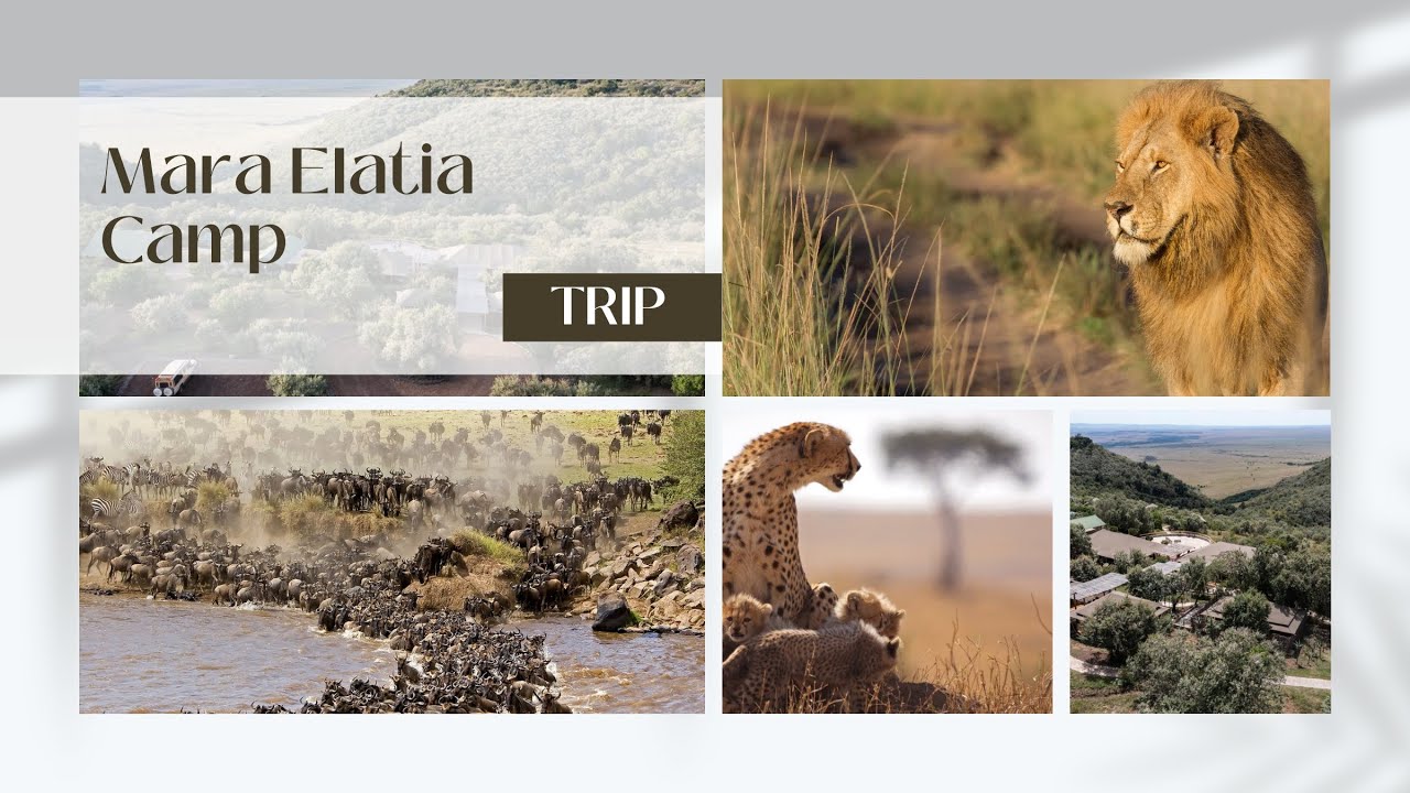 EXPLORE MARA ELATIA CAMP