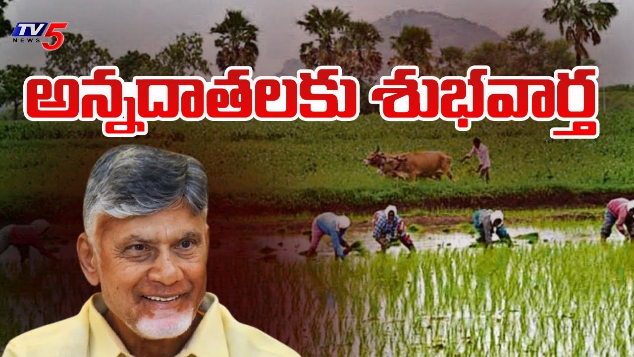 అన్నదాతలకు శుభవార్త | AP Govt Good news for farmers | CM Chandrababu | TV5 News