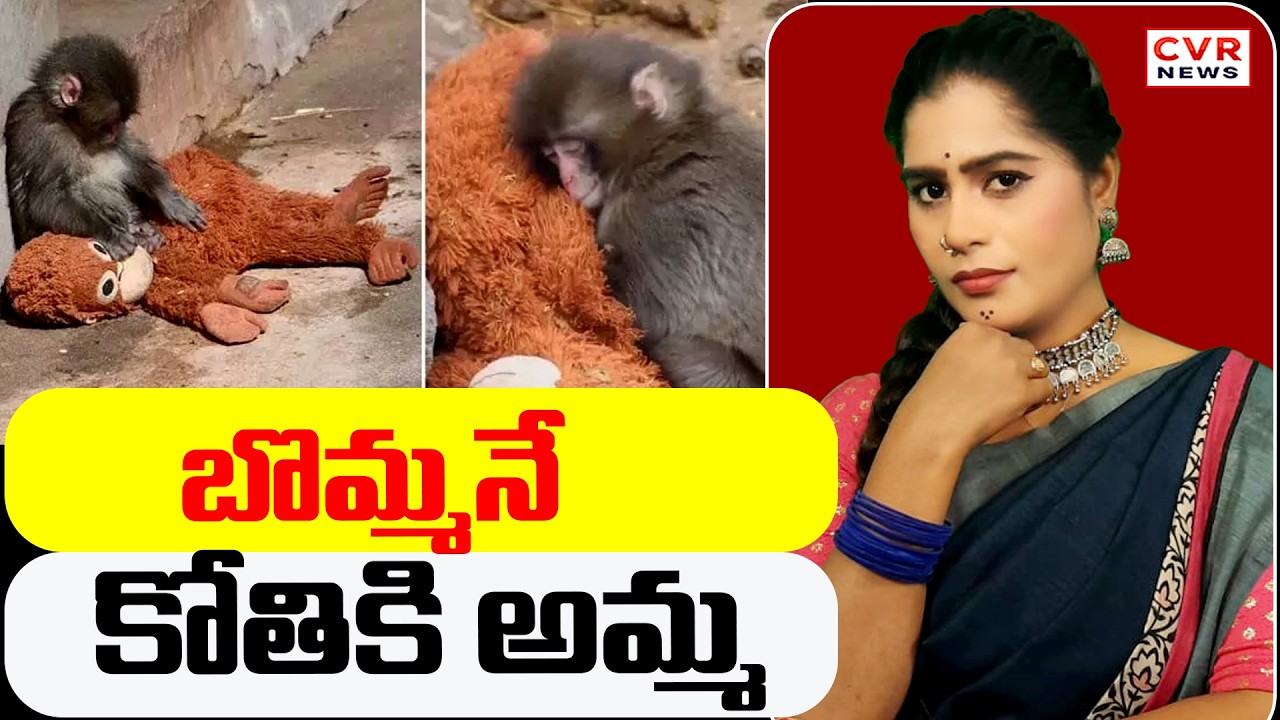 బొమ్మనే కోతికి అమ్మ | CVR Golimar Varthalu | CVR News