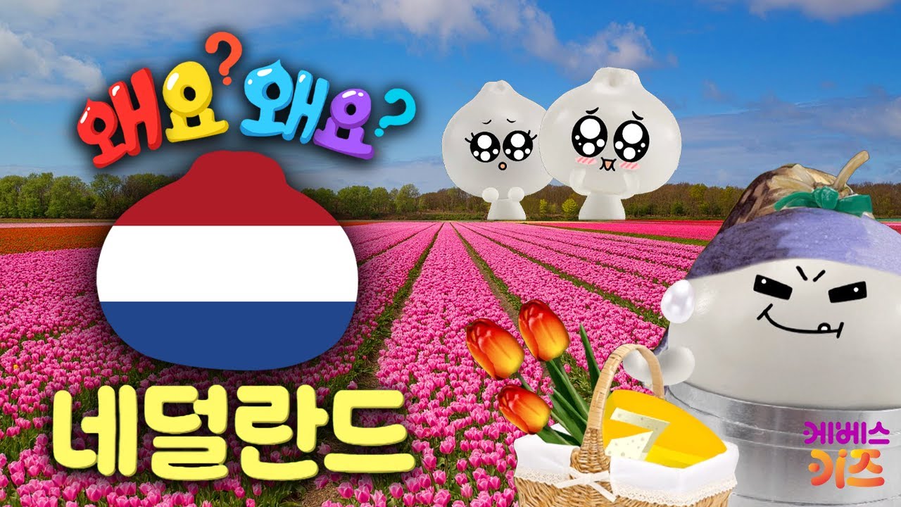 그림같은 나라 네덜란드ㅣ튤립ㅣ왜요? 왜요? 궁금할 만두ㅣKBS 250313 방송