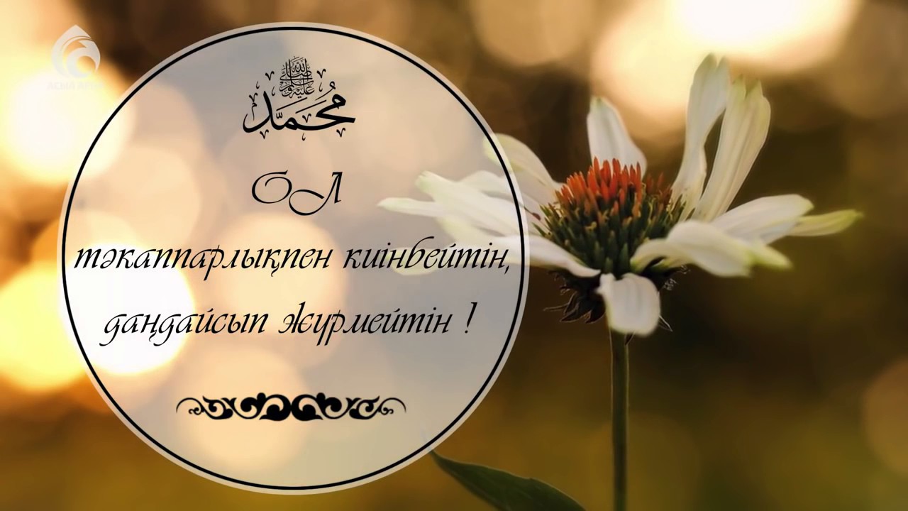 Мұхаммед Пайғамбар ﷺ қандай еді