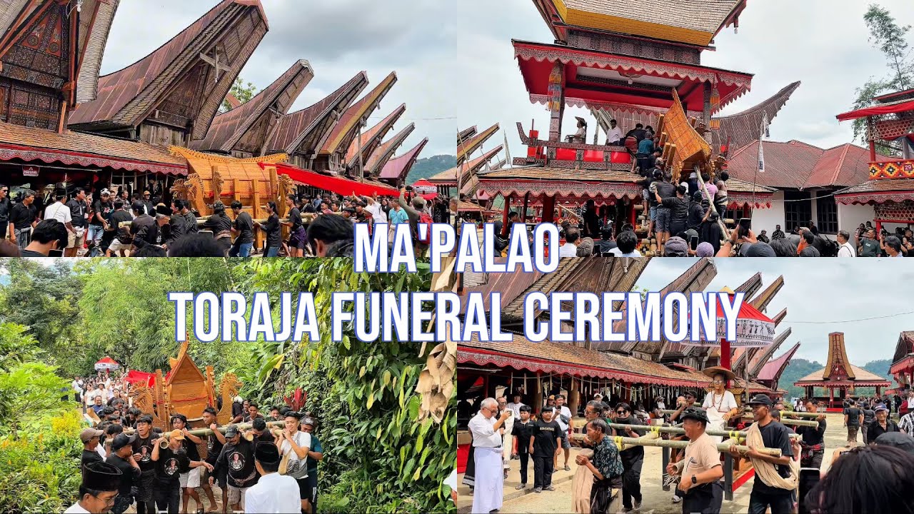 Inside the World&rsquo;s Most Expensive Funeral|The Ma&rsquo;palao Ritual|Rambu Solo' Toraja