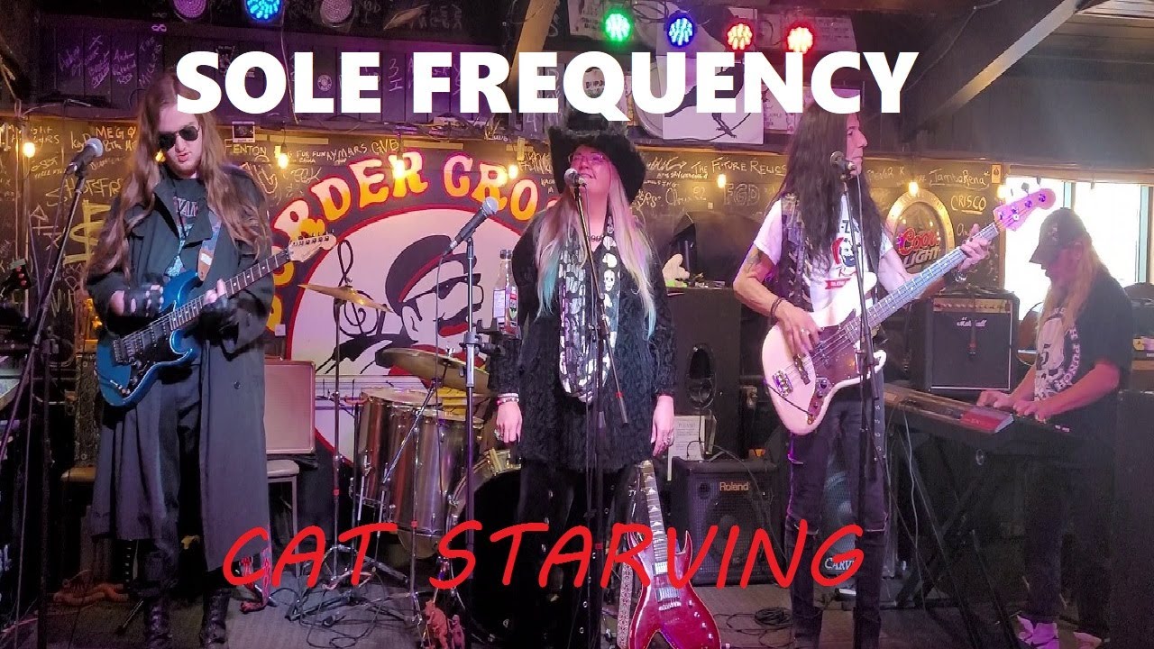 Sole Frequency plays Cat Starving live at the Border Crossing Pub, Calgary November 22 2025