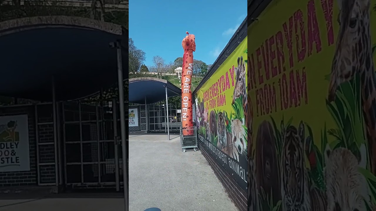 Visiting Dudley zoo