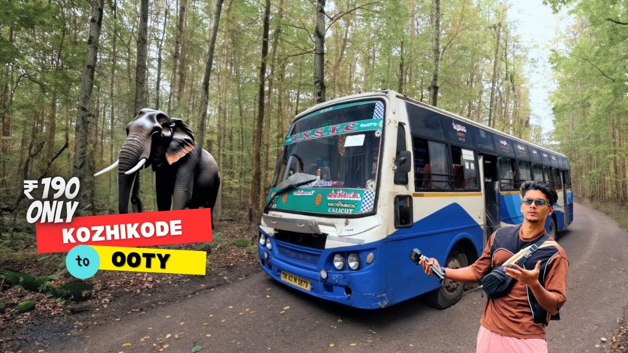 KOZHIKODE TO OOTY BUS TRIP | 190 രൂപ ഉണ്ടെങ്കിൽ ഊട്ടിയിൽ എത്താം | TNRTC | KSRTC BUS TRIP | OOTY
