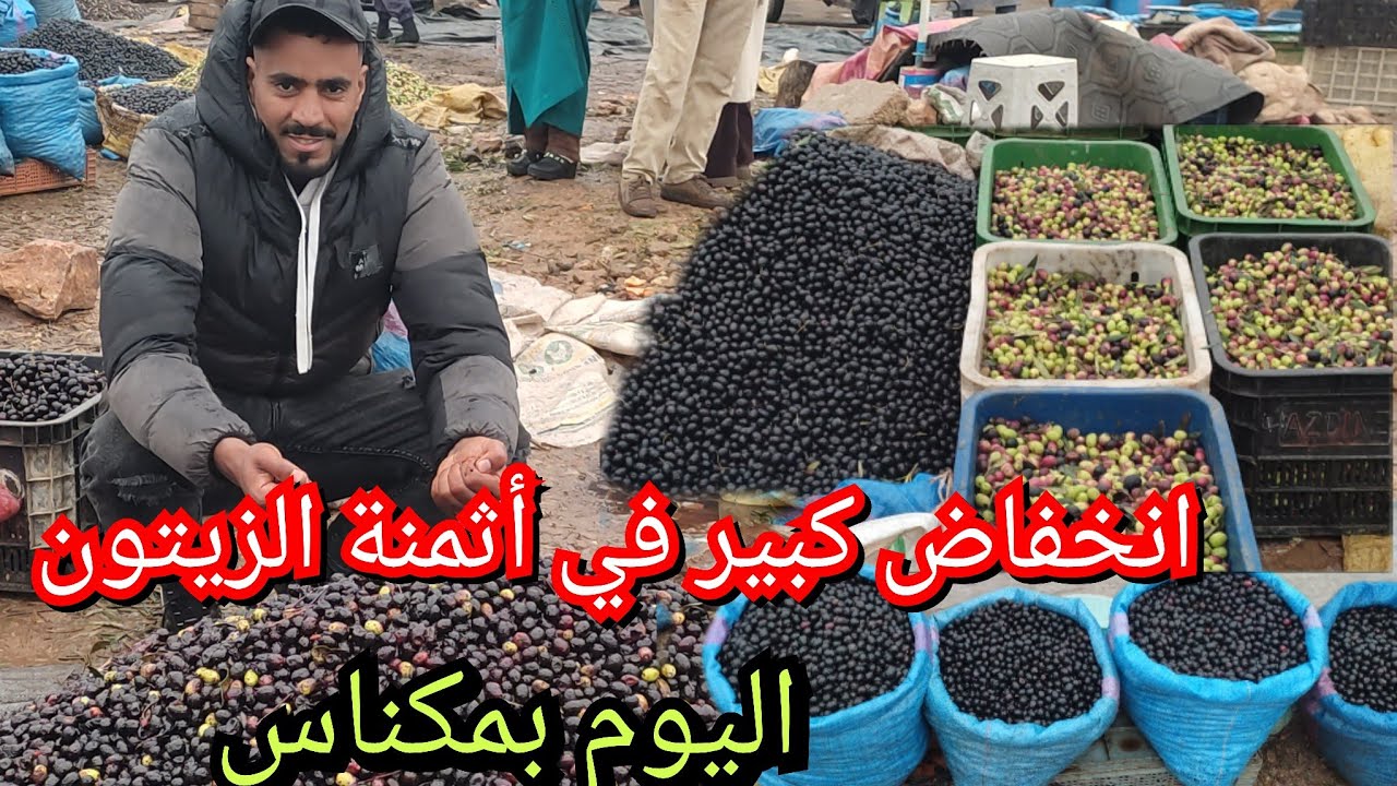 انخفاض كبير في أثمنة الزيتون البوري البلدي اليوم بمكناس بسوق ويسلان 