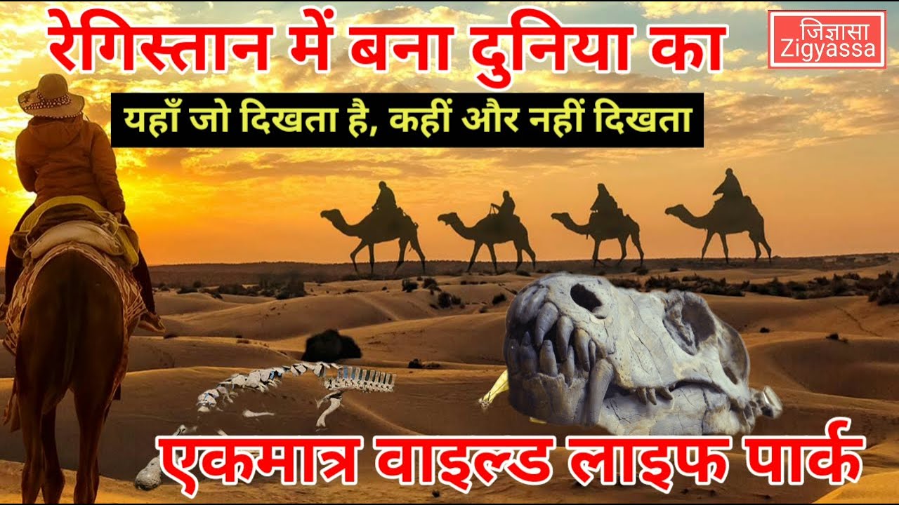 रेगिस्तान के बीच बना दुनिया का अकेला वाइल्ड लाइफ पार्क | The only desert wild life park of the world