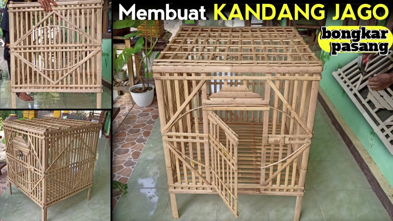 CARA MEMBUAT KANDANG AYAM JAGO | full bambu tanpa kayu