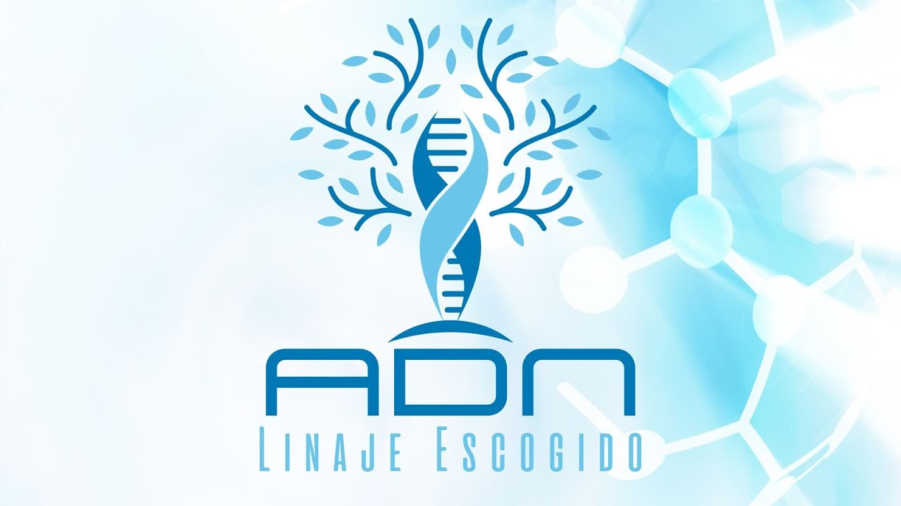 ADN - Departamento de Creadores de Contenido