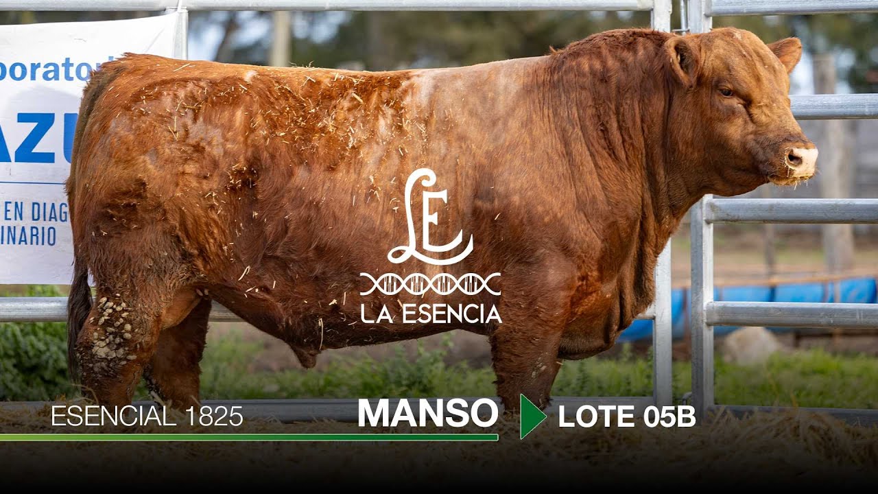 Remate La Carablanca, Lote 05B