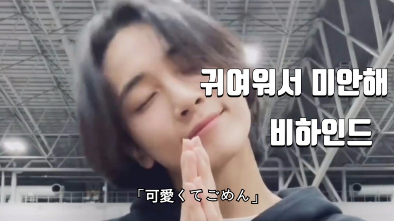 [세븐틴/정한]귀여워서 미안해 비하인드