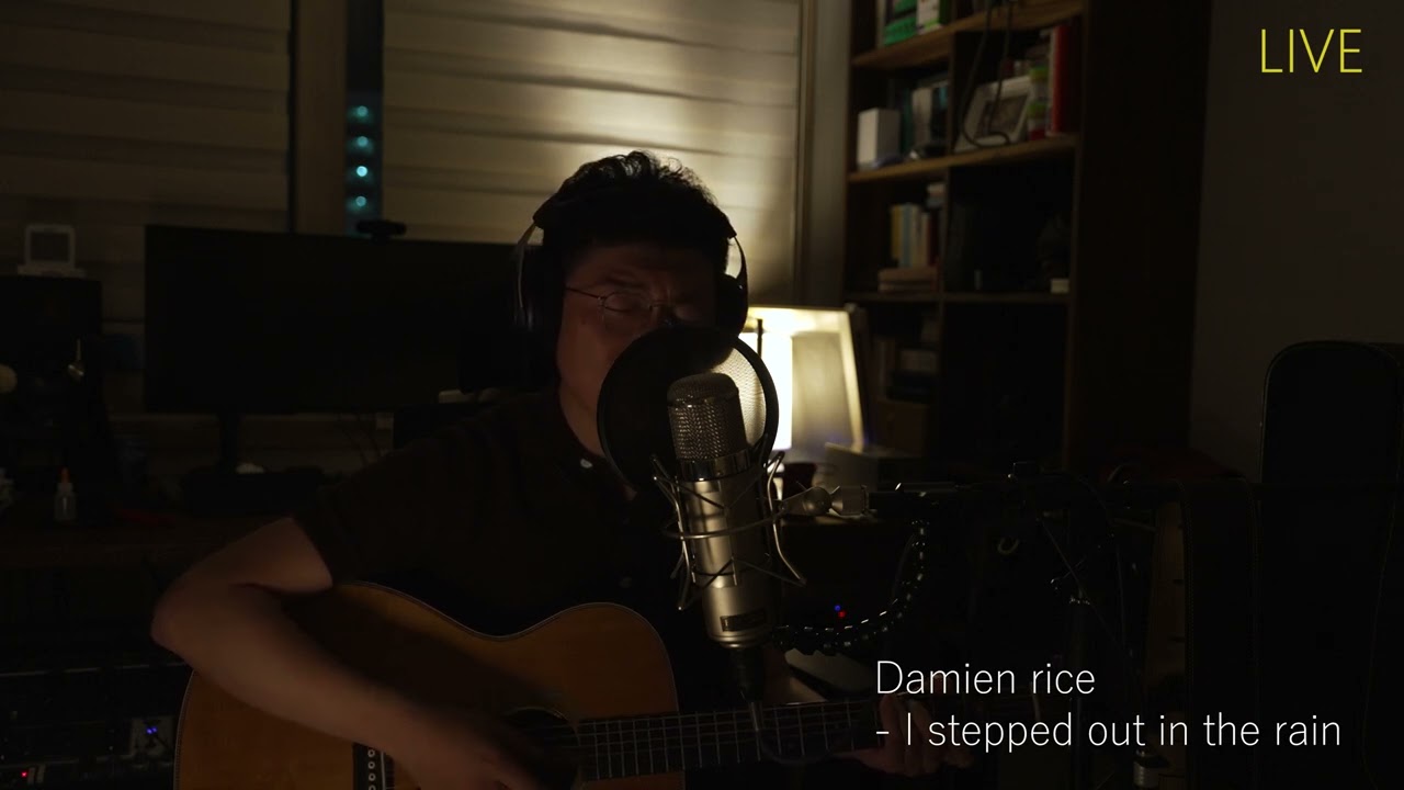 Damien rice - I stepped out in the rain (new song)