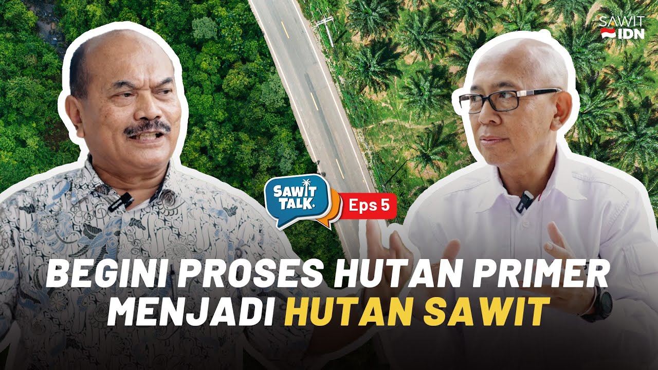 PENJELASAN PROSES HUTAN PRIMER JADI HUTAN SAWIT | PROF. DR. YANTO SANTOSA