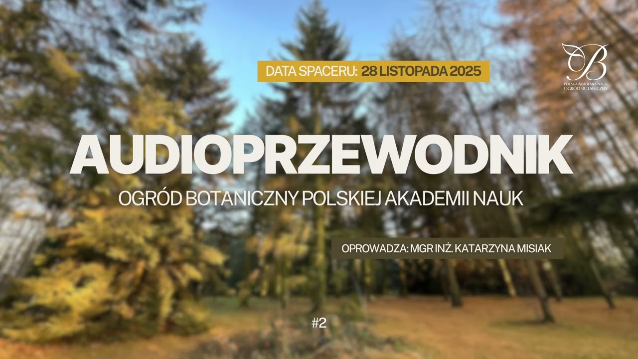 #2 Audioprzewodnik PAN OB - Spacer z 28 listopada 2025 - Świerki i jodły w arboretum