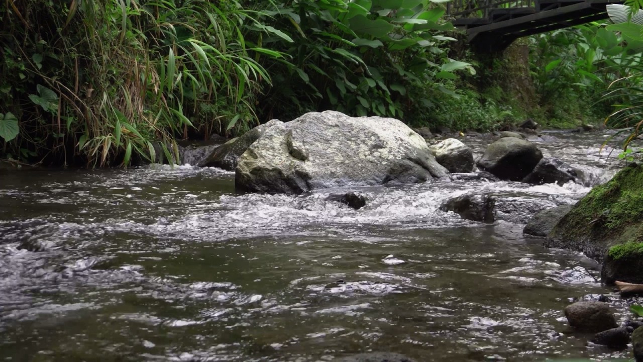1 Hour of flowing river sounds for sleeping, relaxation, work, study. Relaxing video river sounds
