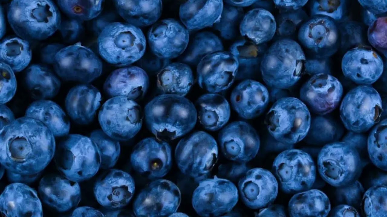 SHOCKING!!! Eating An Entire Pack Of Blueberries 🫨🫨🫨 ASMR!?!?