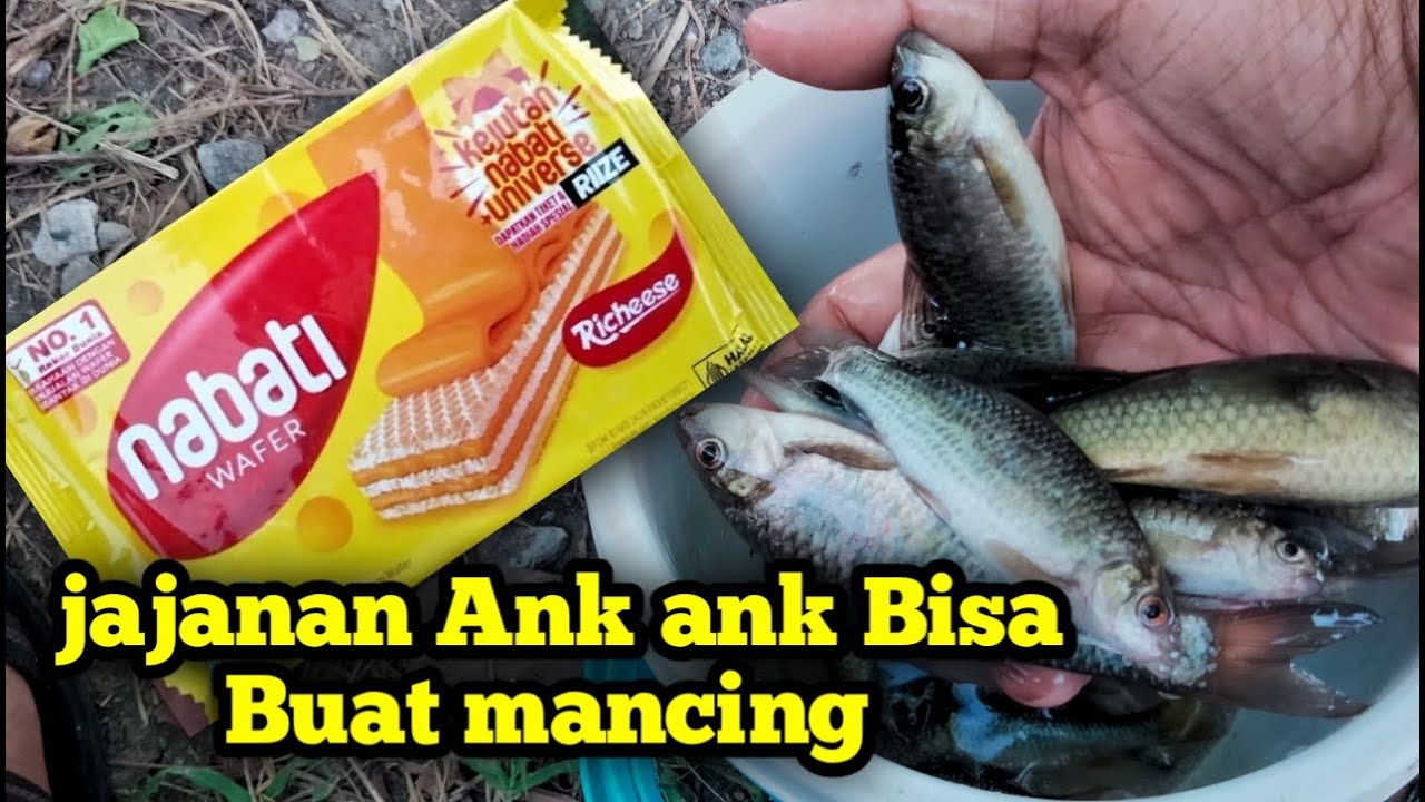TERNYATA JAJANAN ANAK ANAK BISA BUAT UMPAN JUGA , TES UMPAN WALAUPUN CUMAN SEBENTAR