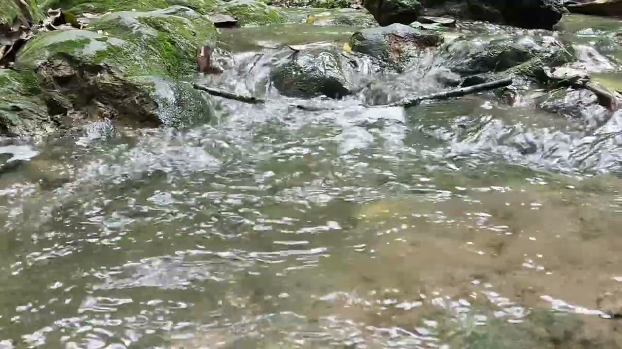 5 mintos agua natural y limpia