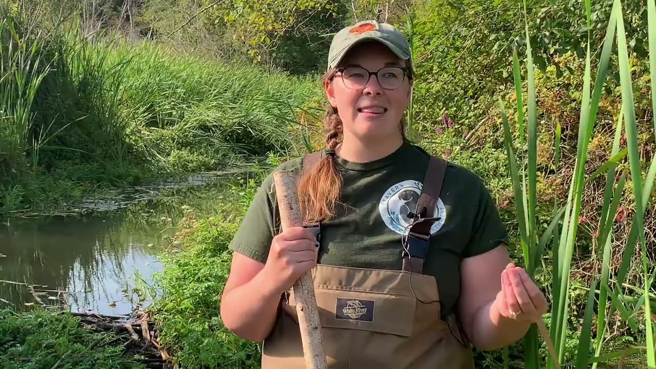 Beavers NW Part 3