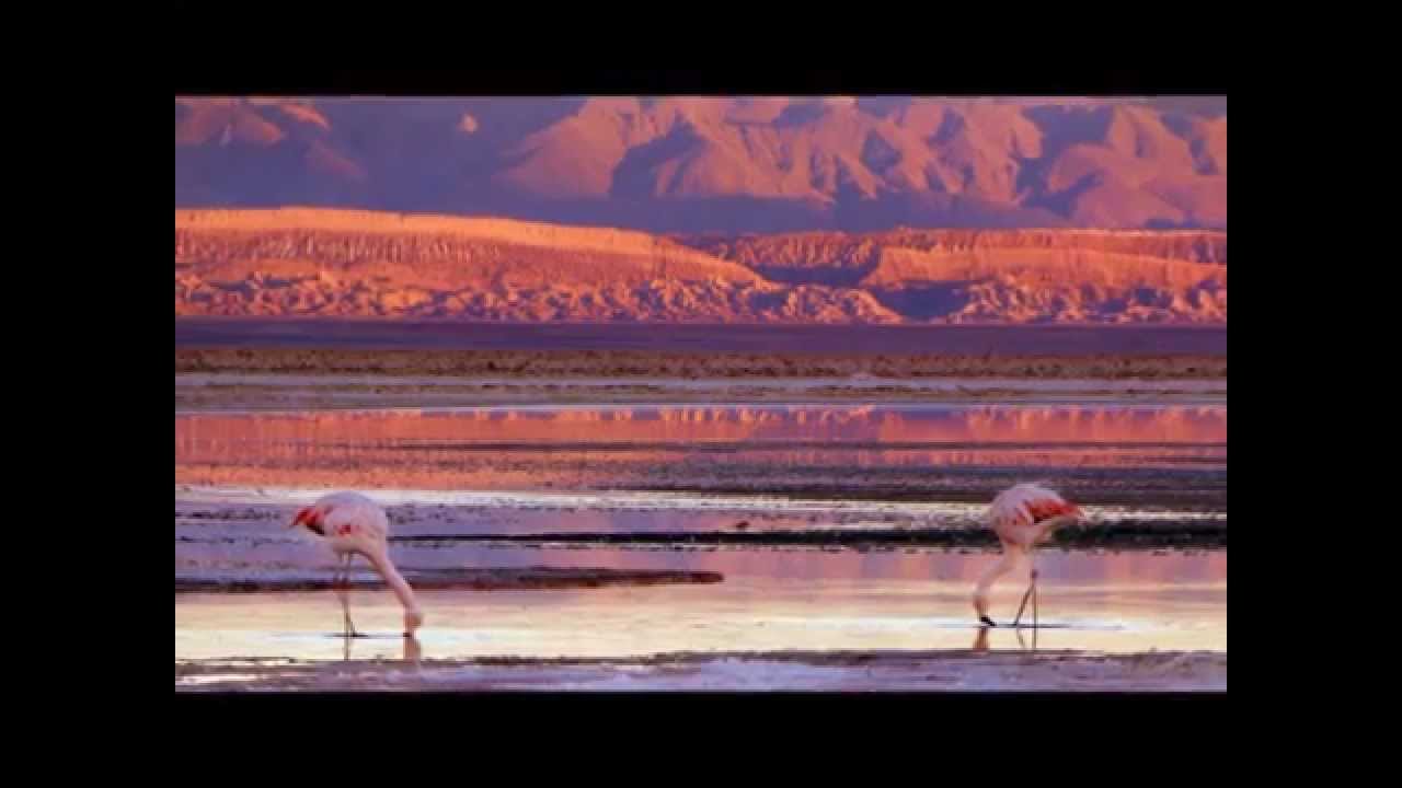 Curacas - Instrumental andino