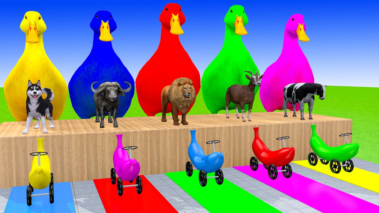 Long Slide Game With Cow Elephant Gorilla Hippopotamus Tiger 3d Animal Game Funny 3d Animals