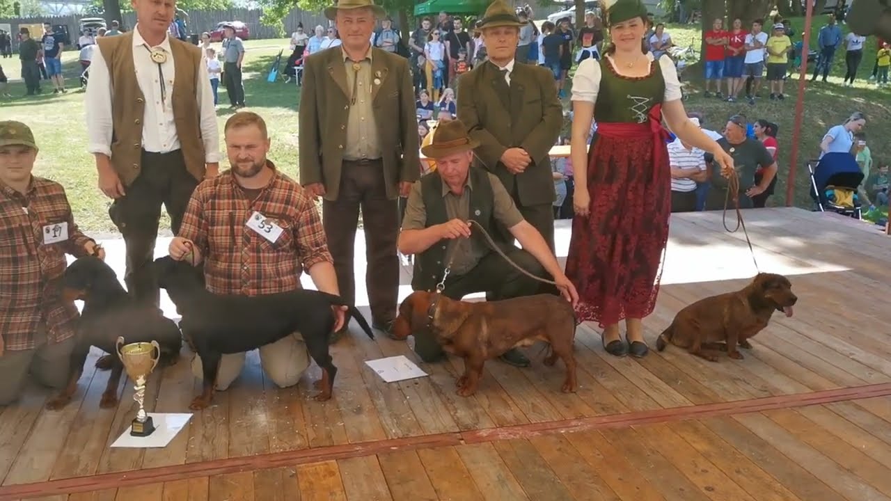 Bonitácia farbiarov, klubové výstavy Slovenského kopova a Alpského jazveč. duriča Hanušovce n T 2022