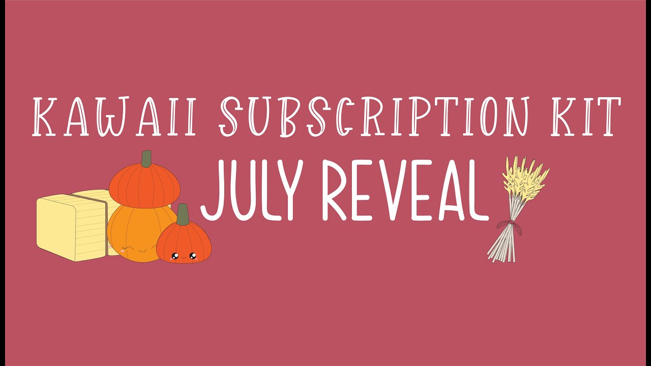 Kawaii Subscription Kit - July Reveal - Planner Stickers