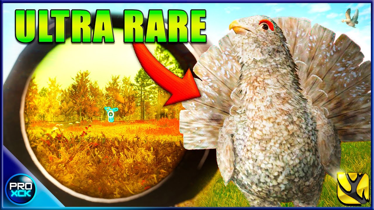 LEUCISTIC CAPERCAILLIE!! | Chasing 7 DIAMONDS & More on Revontuli Coast! - Call of the Wild